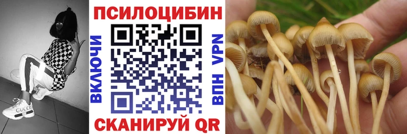 мориарти клад  купить  цена  Приволжский  Псилоцибиновые грибы GOLDEN TEACHER 